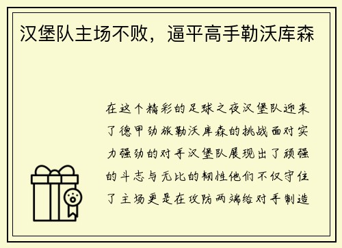 汉堡队主场不败,逼平高手勒沃库森